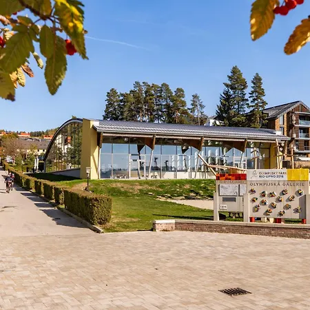 Korzo Relax Apartment Lipno nad Vltavou